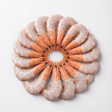 Arctic Shrimp